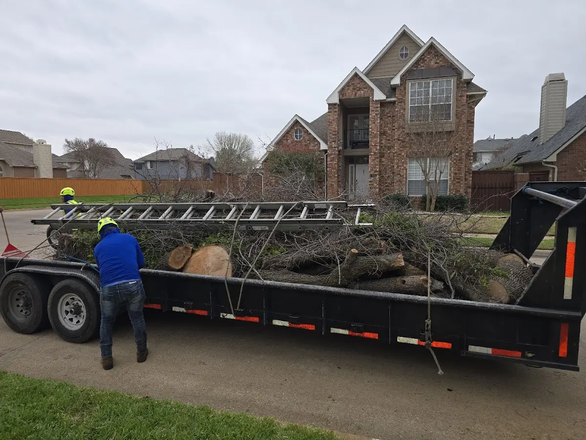 Expert Deadwooding with proper safety equipment in Nashport